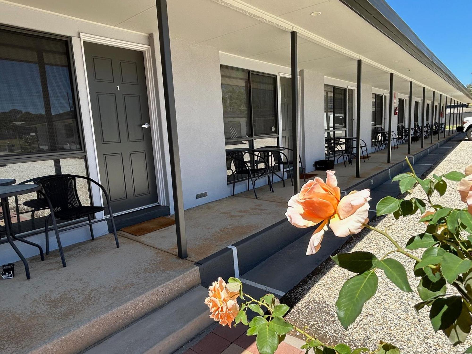 Motel Woongarra Rutherglen Eksteriør billede