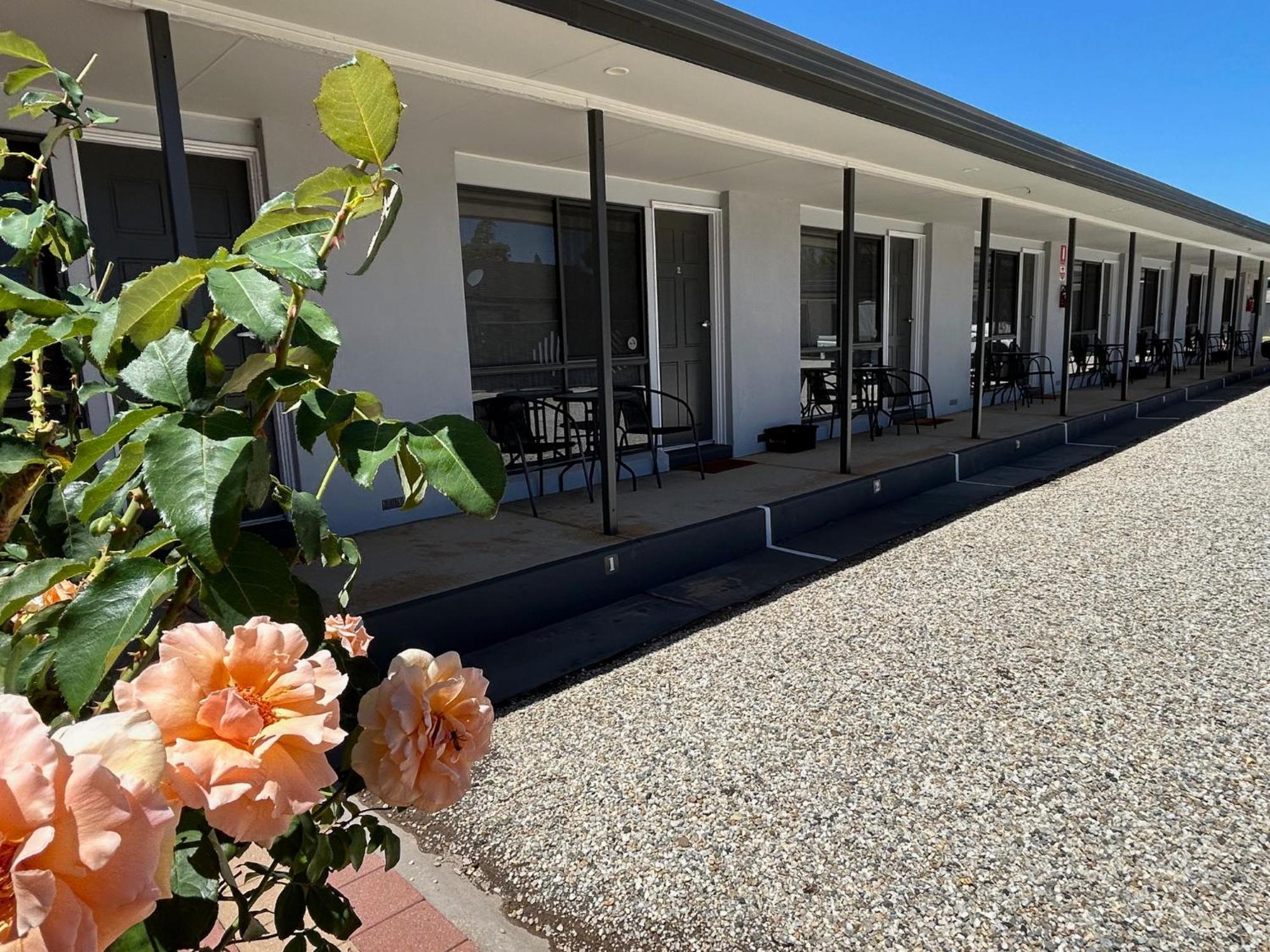 Motel Woongarra Rutherglen Eksteriør billede