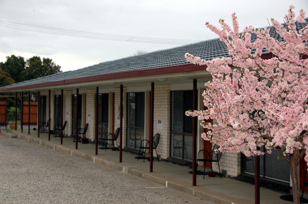 Motel Woongarra Rutherglen Eksteriør billede
